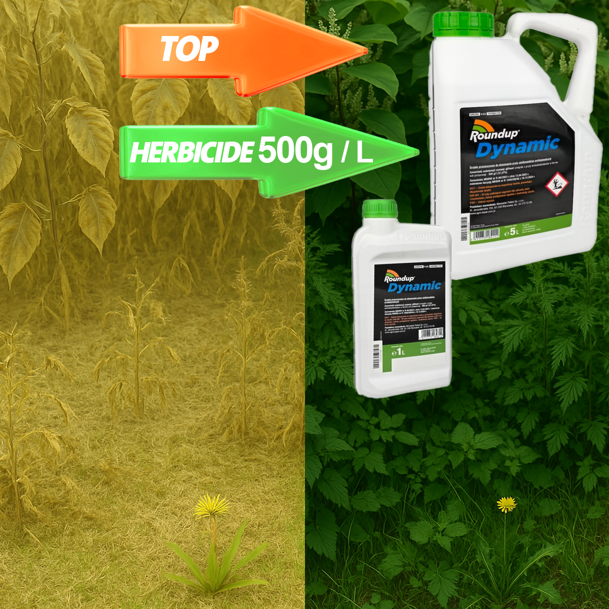 Buy Roundup Dynamic without a certificate of competence