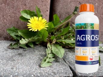 AGROSAR® 360 SL weed killer