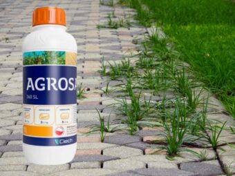 AGROSAR® 360 SL weed killer