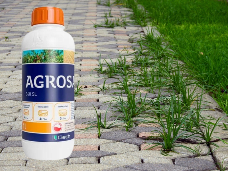 AGROSAR® 360 SL weed killer