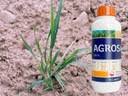 AGROSAR® 360 SL weed killer